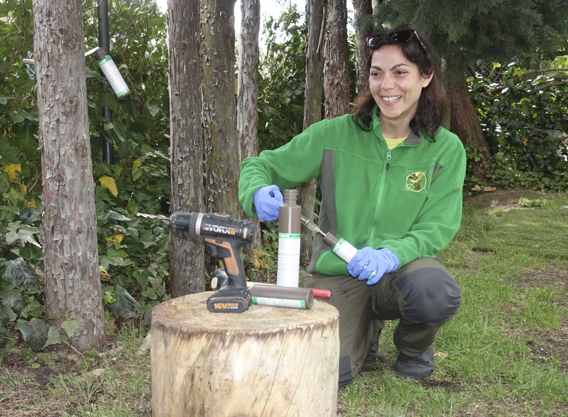 Inyección de insecticida en tronco para combatir plagas de forma precisa. Inyección de insecticida
