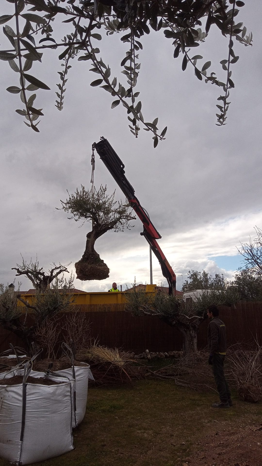 Construcción jardín en Miraflores 2006