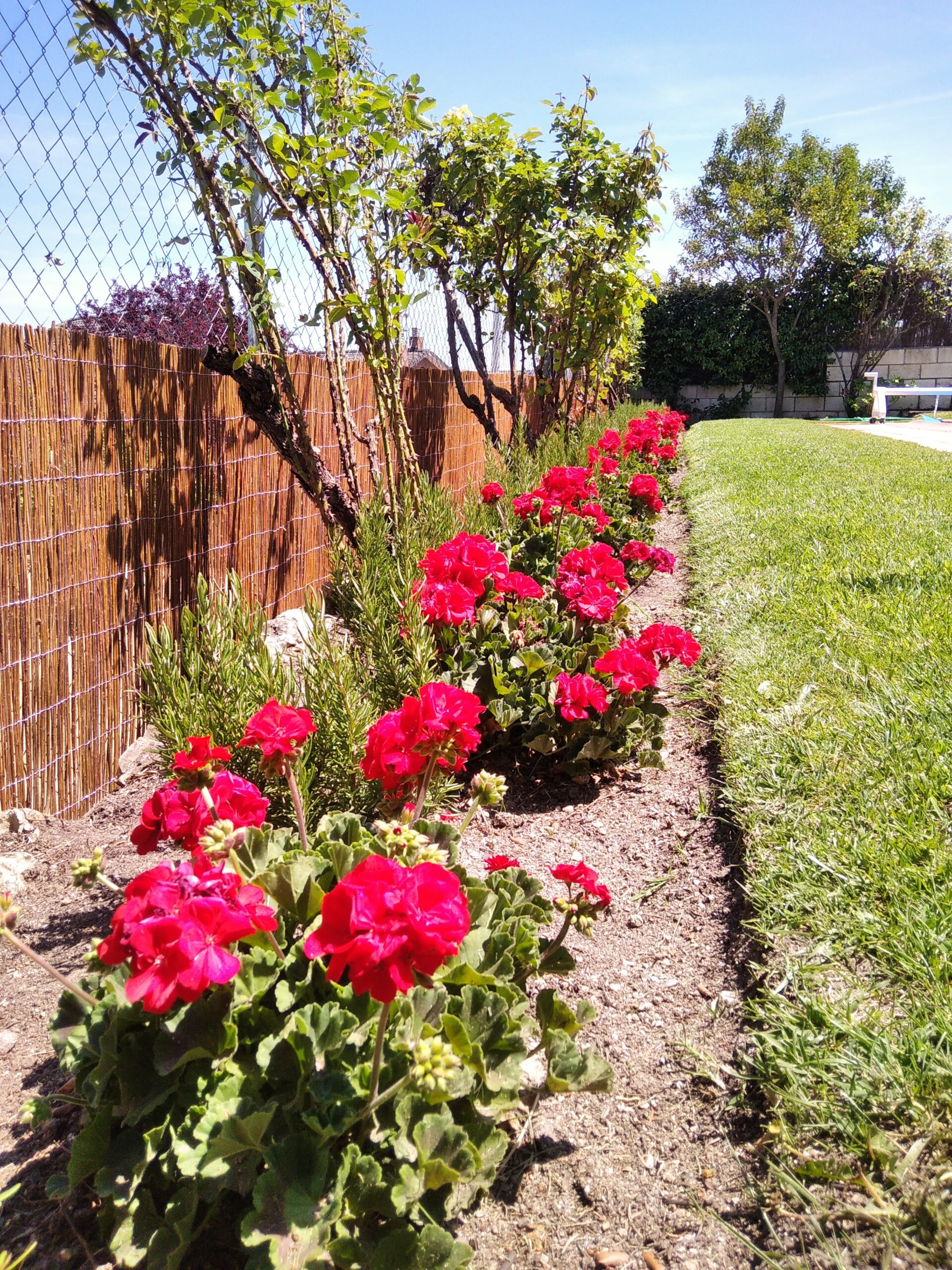 Restauración de valla y plantas en 2021