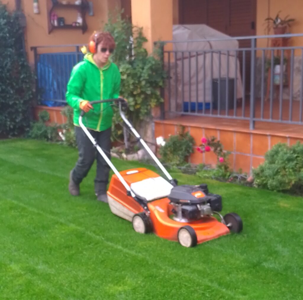 Cuidado del jardín en otoño