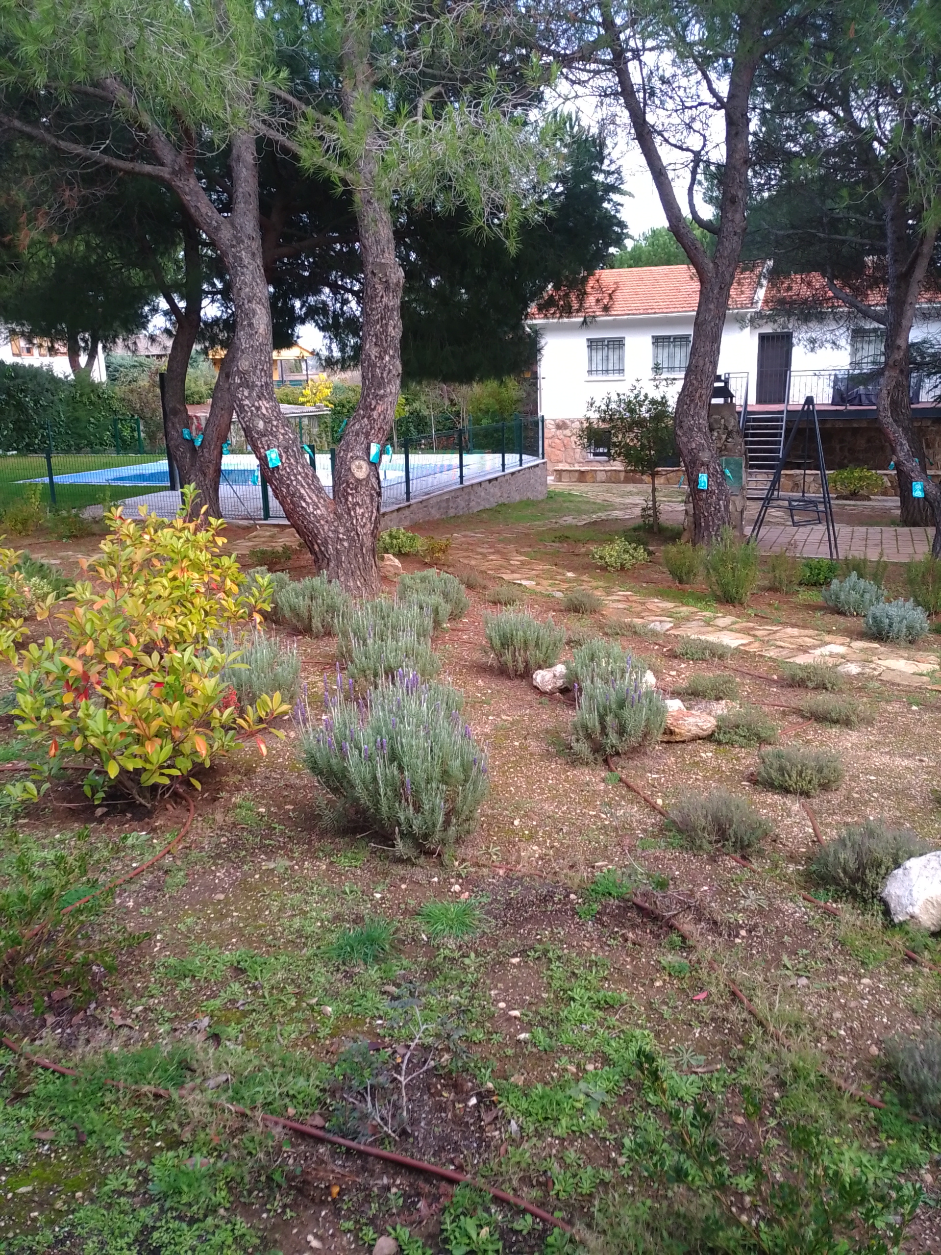 Diseño de jardín rústico en 2000 m2