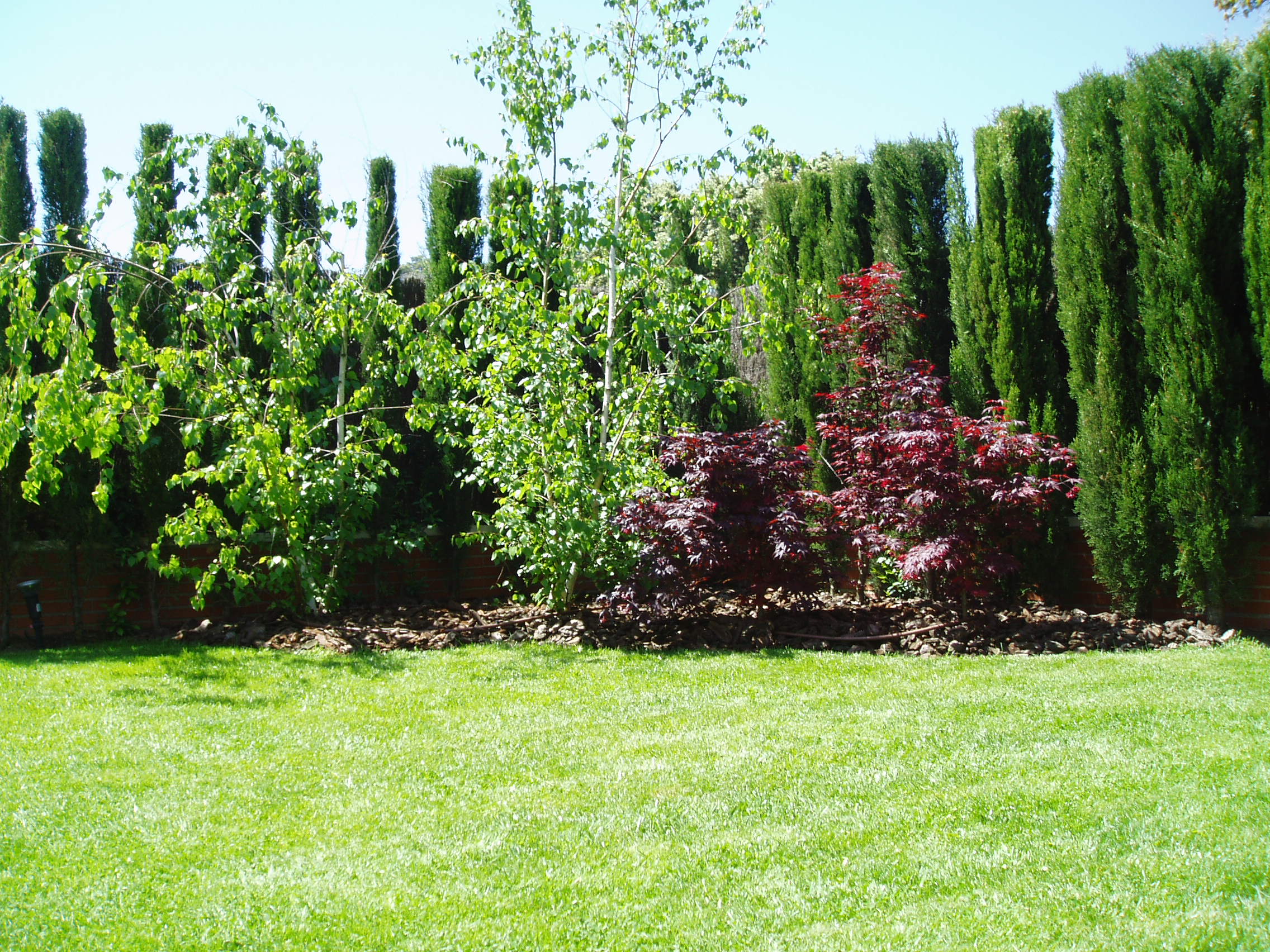 Jardineros en acción