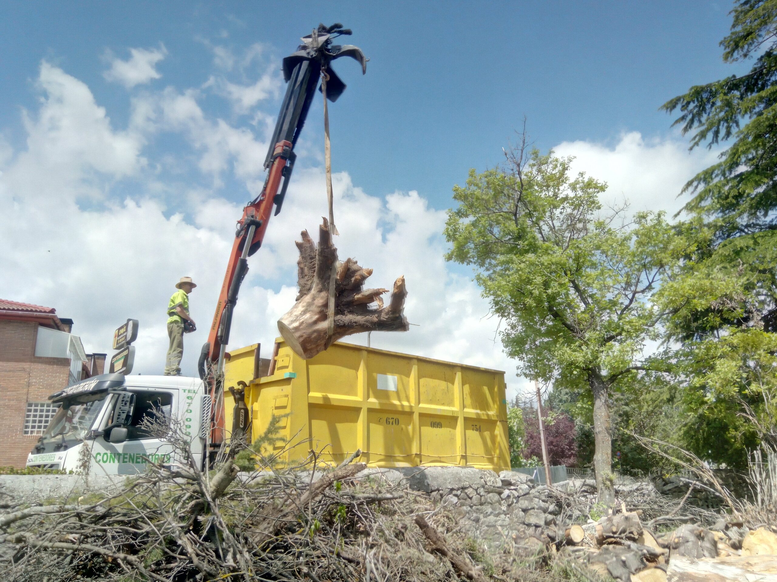 Tala de chopos en Somolinos