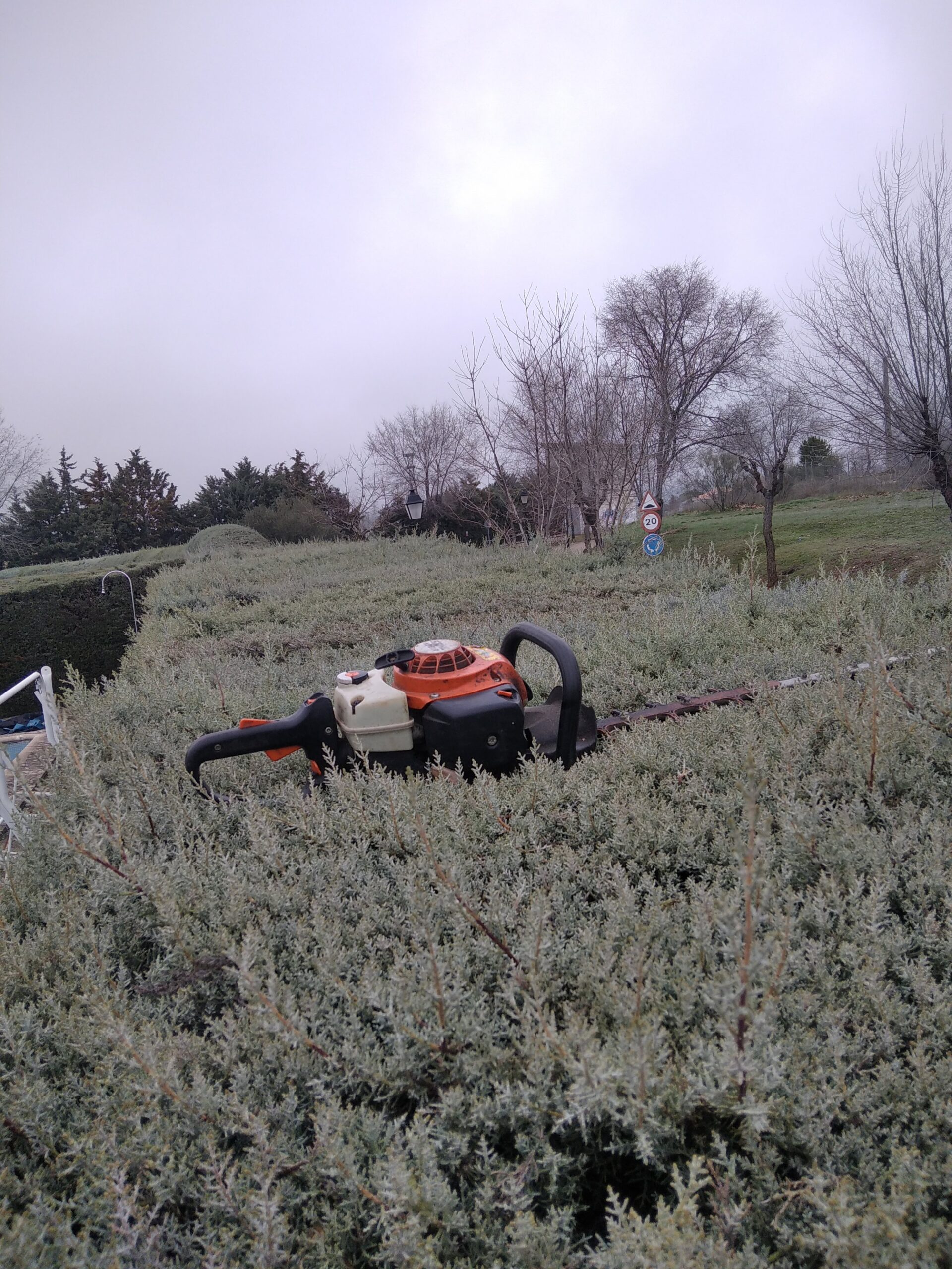 Equipo especializado para poda de árboles y mantenimiento del jardín Herramientas para poda de árboles
