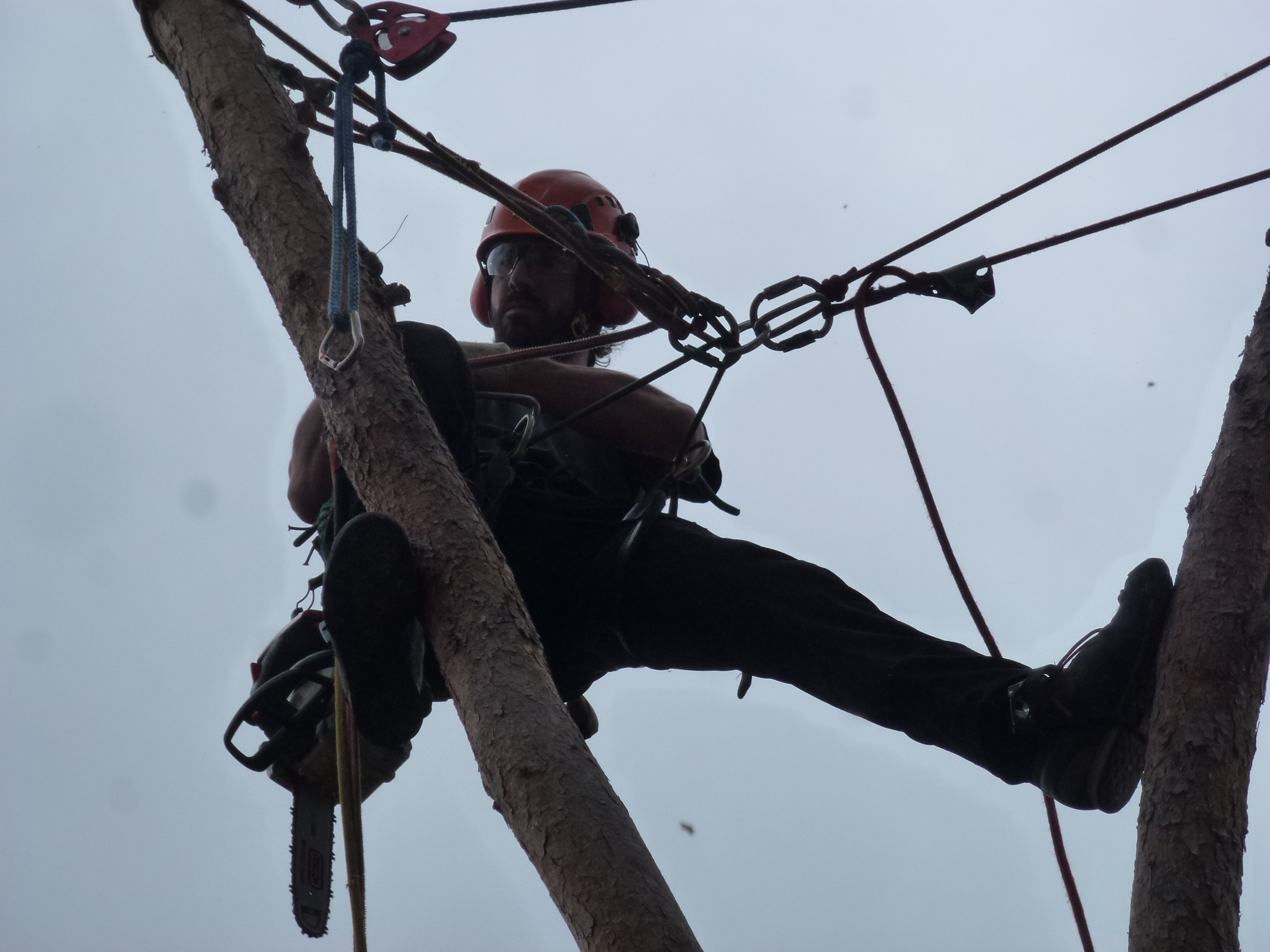 Jonasjardineria.es  Jonasjardineria.es