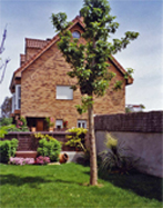 Paisaje de jardín bien mantenido