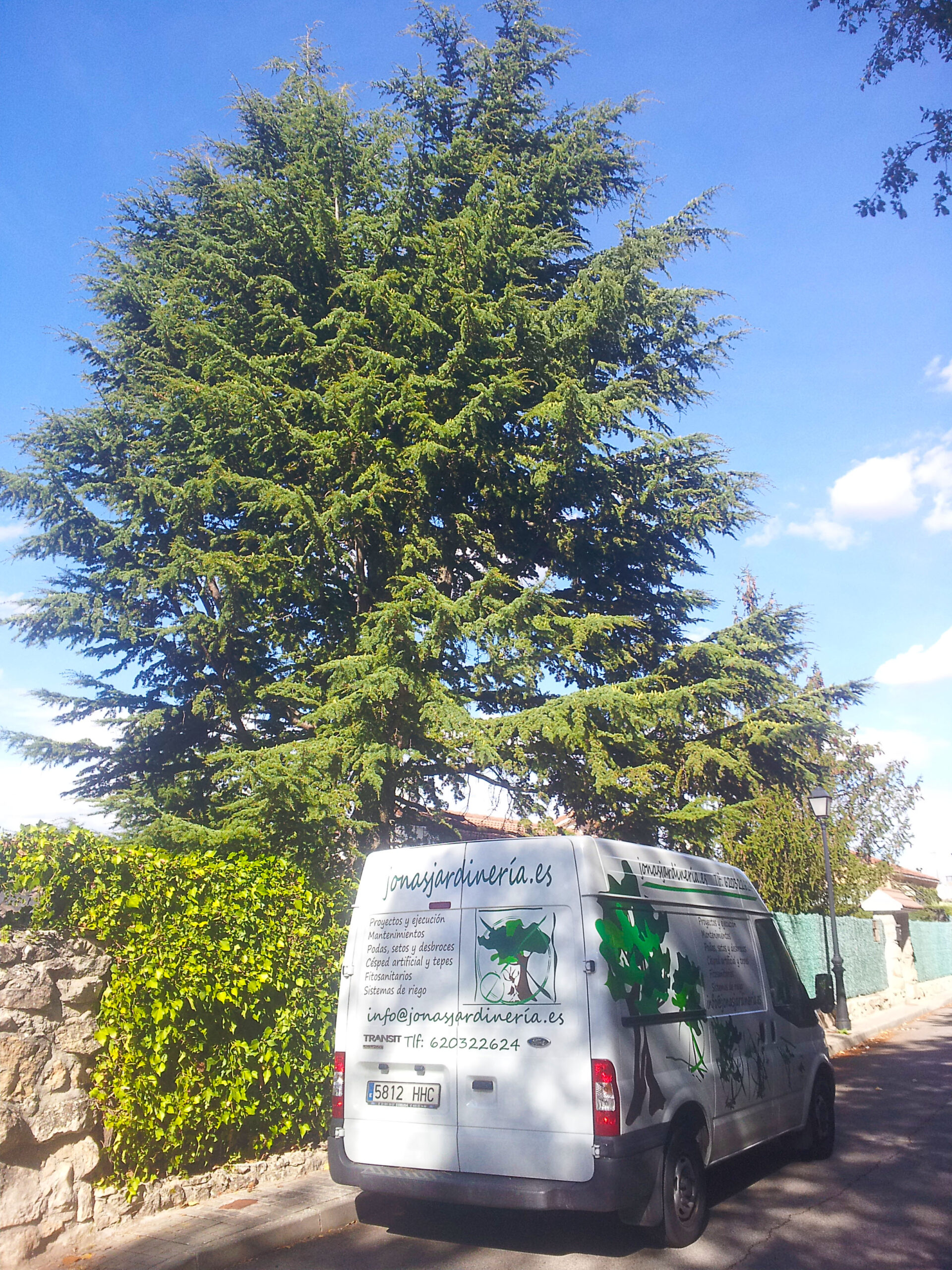 Tareas de abonado en jardín