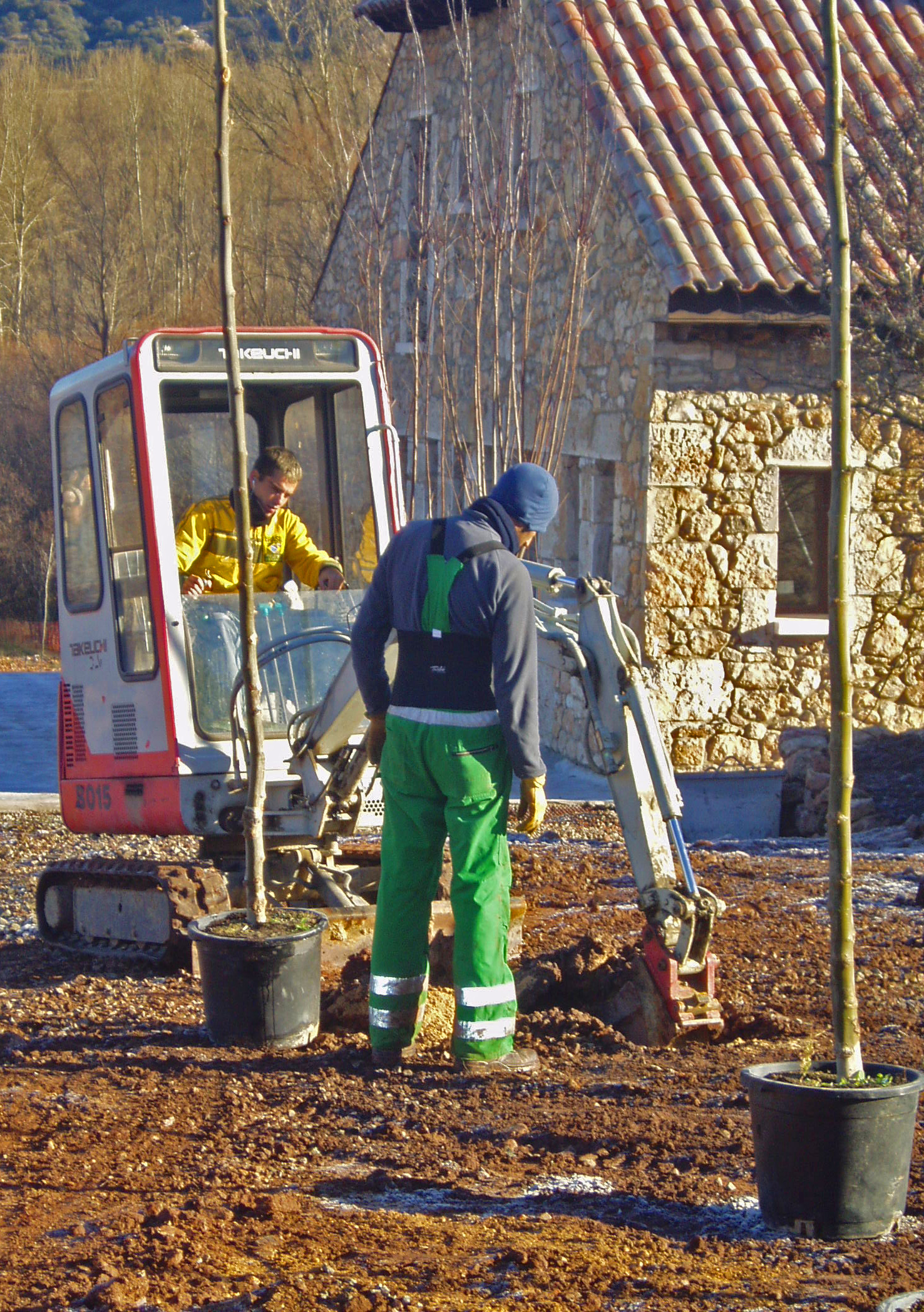 Gran jardín con plantas variadas
