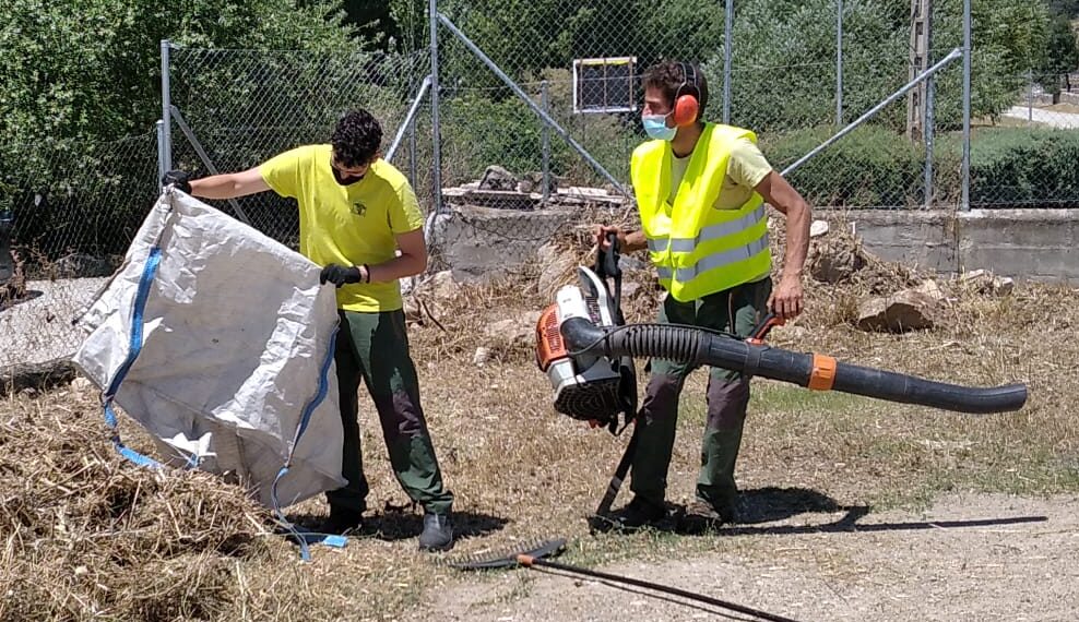 Trabajo en jardín comunitario