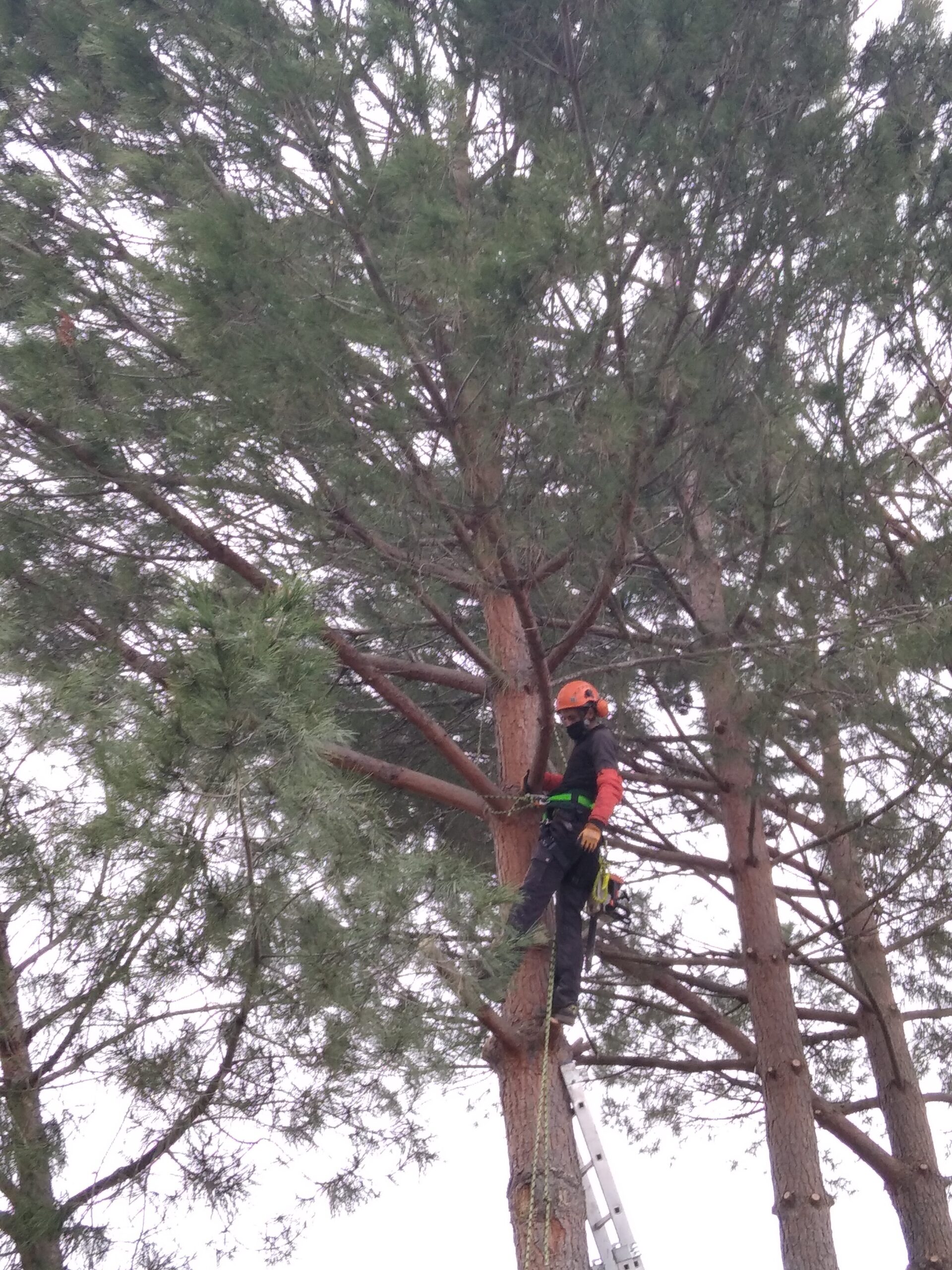 Marcas de herramientas confiables