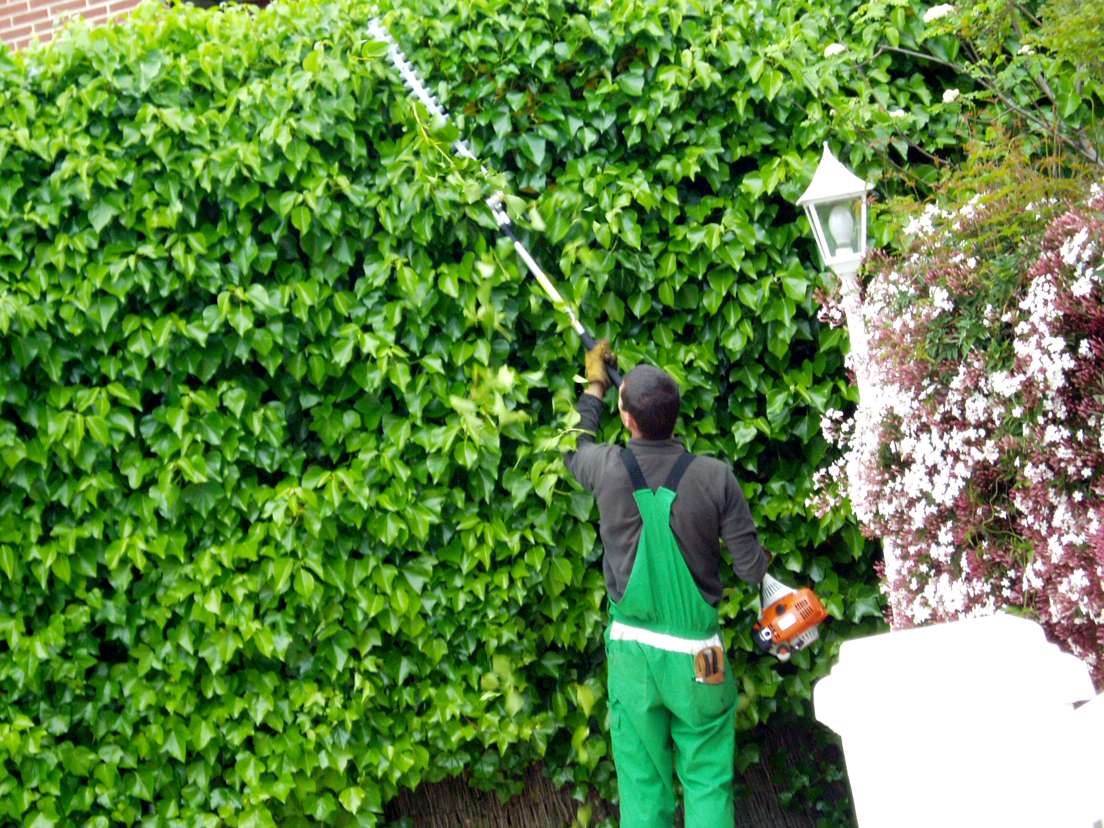 Herramientas de jardinería eficientes